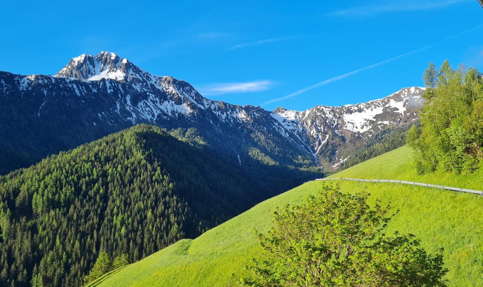 Gasserhof Campo di Trens Dış mekan fotoğraf